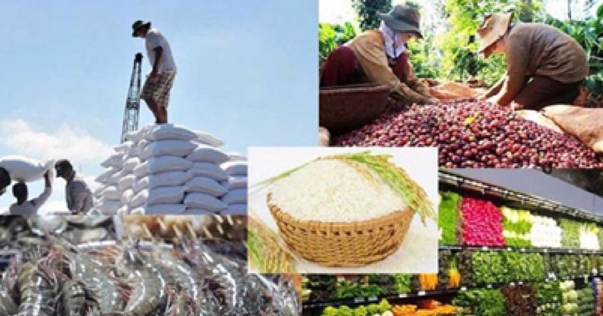 Agricultural, forestry and fishery exports: Determined to 'reach' the record milestone of 60 billion USD