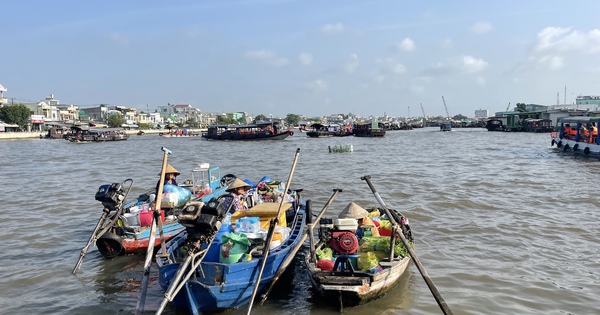 បង្កើតក្រុមប្រឹក្សាគ្រប់គ្រងរដ្ឋ ដើម្បីការពារទីផ្សារអណ្តែតទឹក Cai Rang