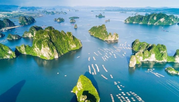 The Ministry of Culture confirmed that the information that Ha Long Bay is being considered for removal from the list of World Natural Heritage is incorrect.