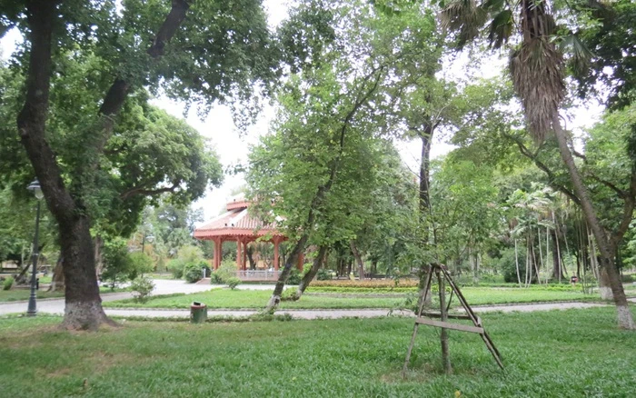 Tras las huellas de la «flor femenina» del rey Quang Trung: la espeluznante ceremonia del Hien Phu