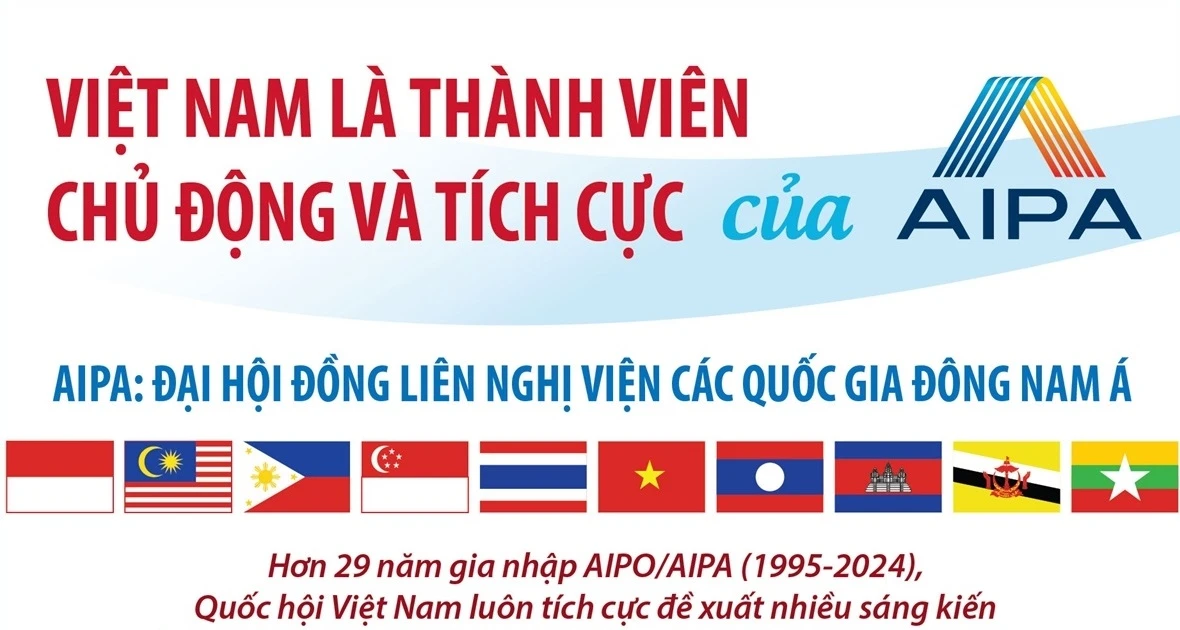 Vietnam es un miembro activo y proactivo de la AIPA.