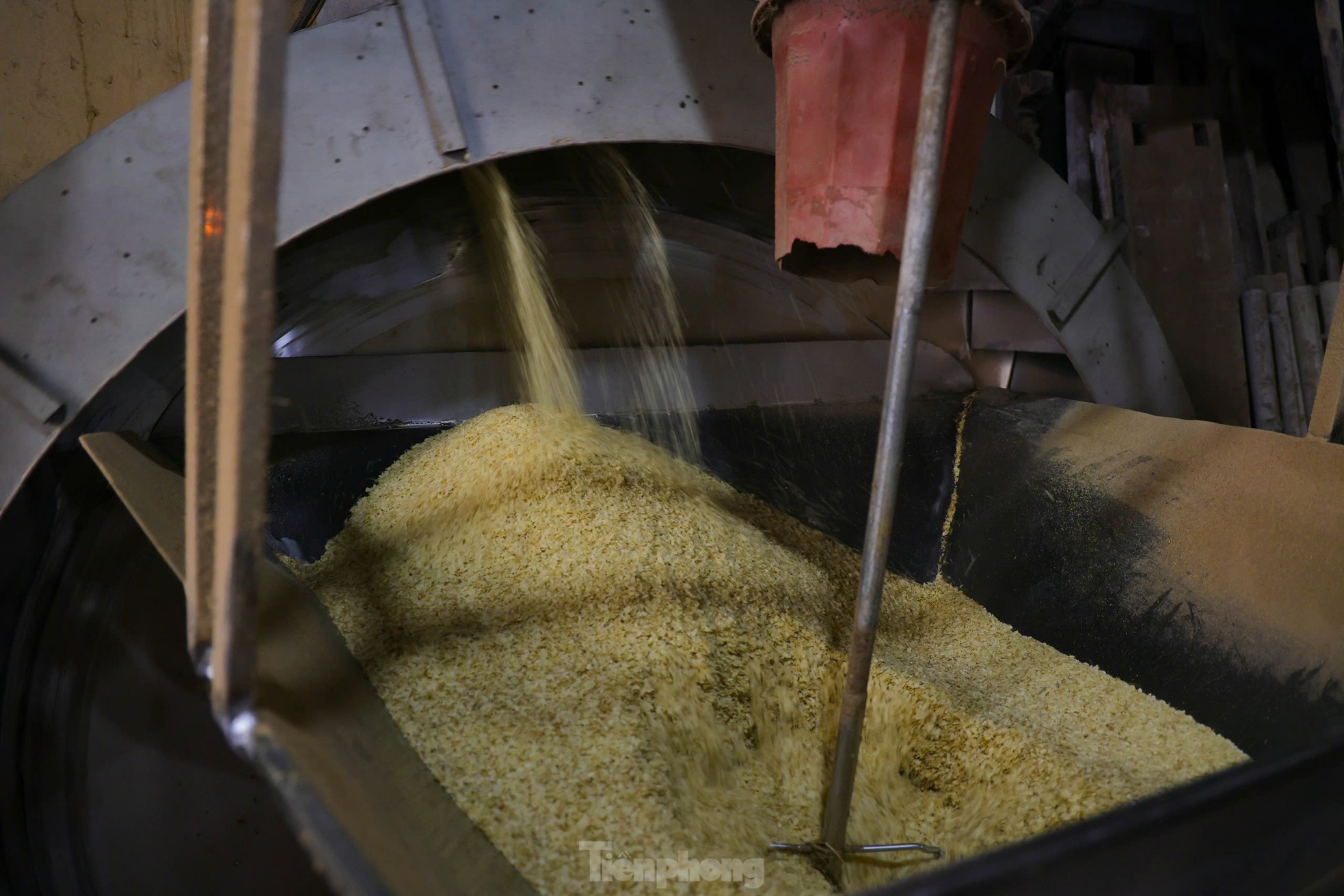 El arroz joven Me Tri está en llamas, bullicioso con el ritmo del arroz joven golpeado en la nueva temporada foto 11