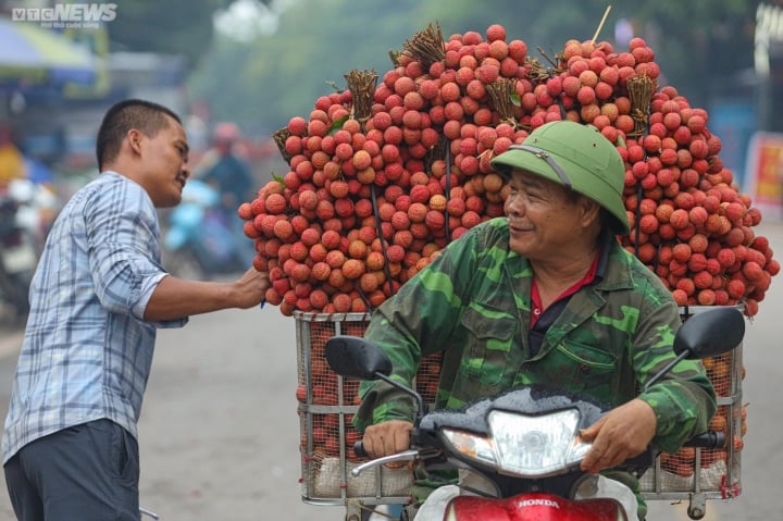 Bac Giang: Los agricultores se apresuran a llevar lichis para pesarlos y venderlos, las calles se tiñen de rojo - 6