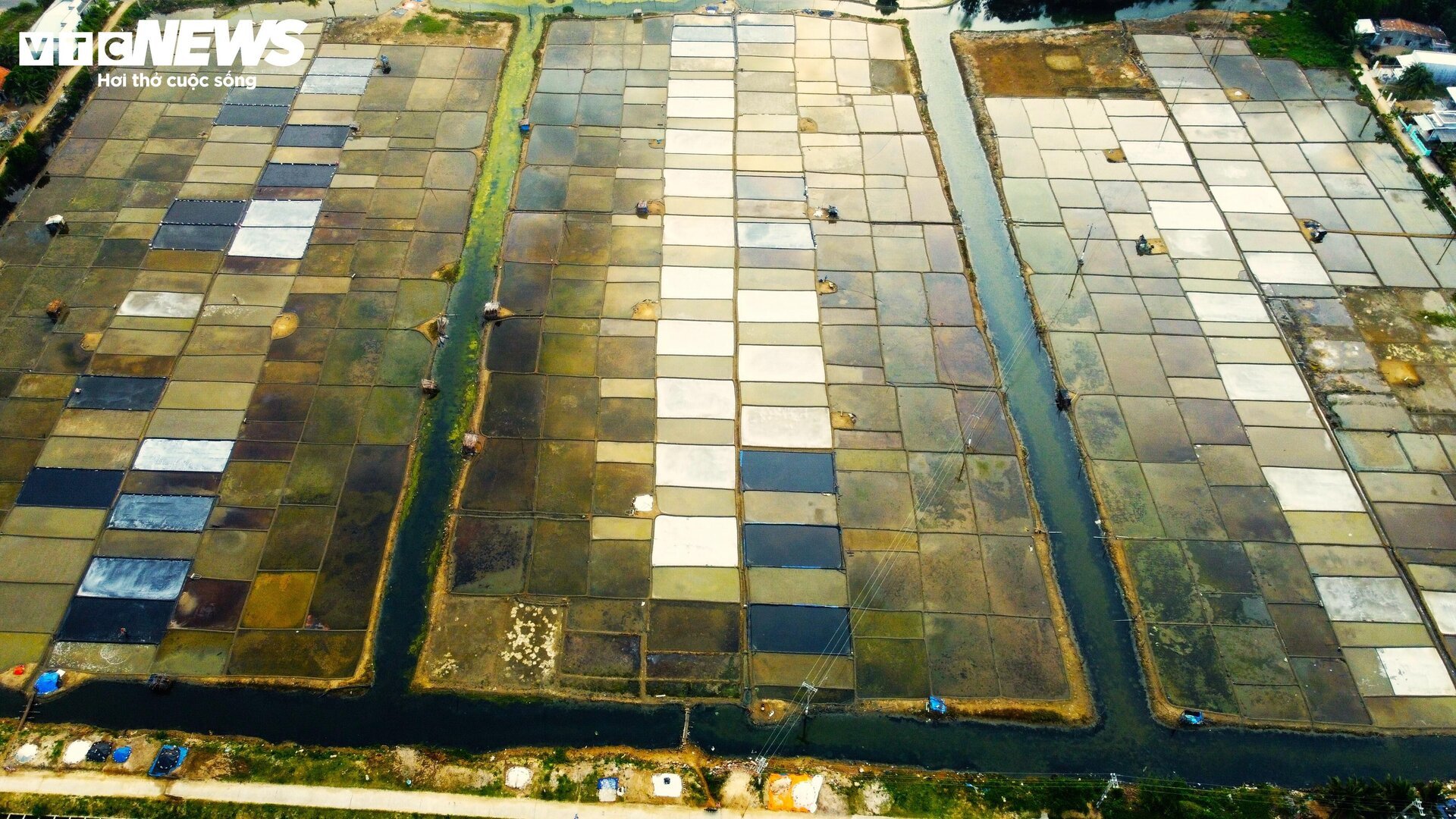 People 'carrying the sun' on the white salt fields in Binh Dinh - 4