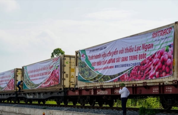 Bonne nouvelle pour les exportations de fruits : de nouvelles opportunités pour les produits agricoles vietnamiens