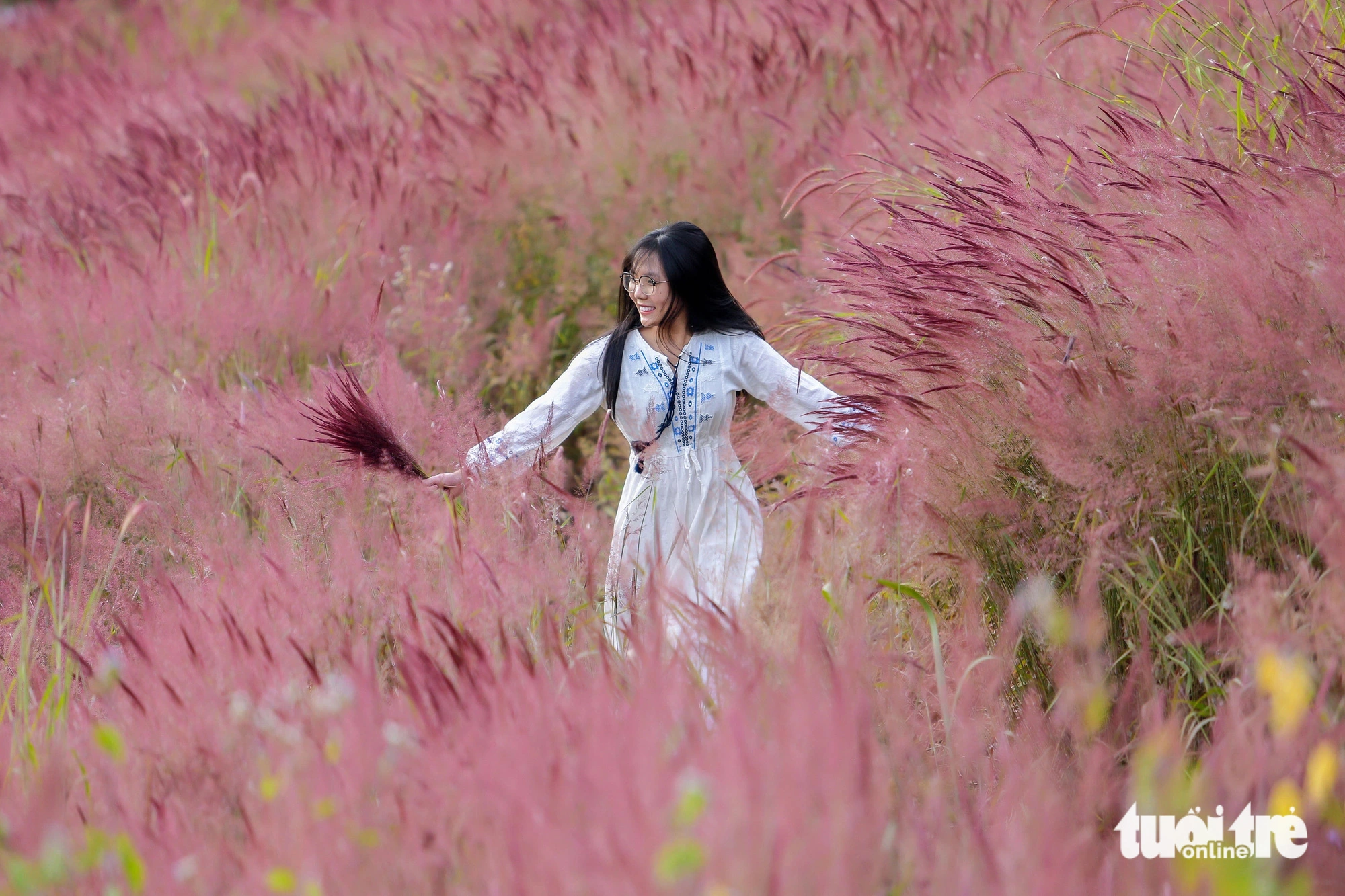 The pink hillsides make tourists excited to come to Da Lat