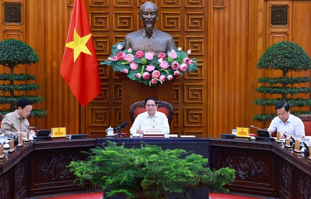 Thủ tướng: Không để thiếu điện cho sản xuất, kinh doanh, tiêu dùng trong bất kỳ hoàn cảnh nào- Ảnh 7.