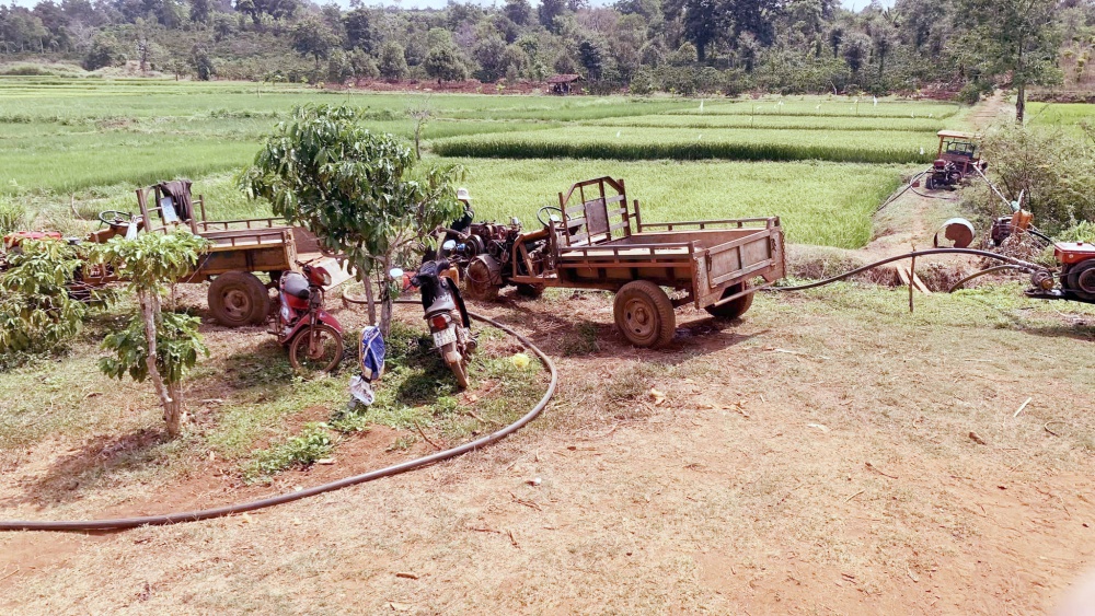 Thousands of hectares of crops damaged by drought