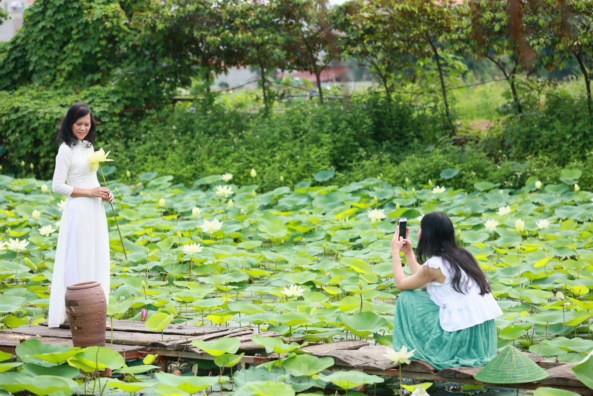 Des jeunes portant l'Ao Dai prennent des photos à côté de fleurs de lotus blanches, photo 13