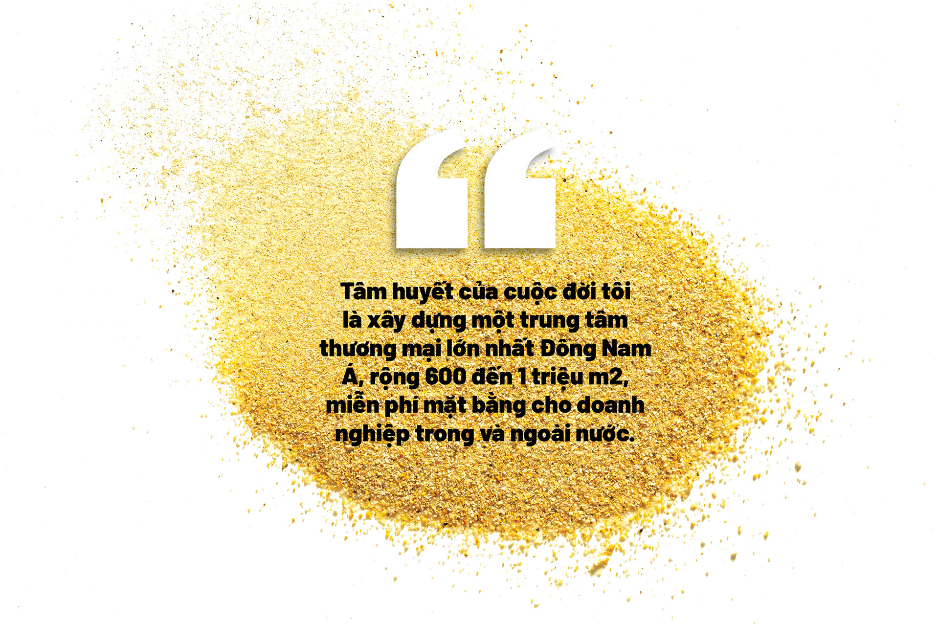 Tôi chỉ cần chính quyền làm đúng quy định của luật pháp - Ảnh 6.