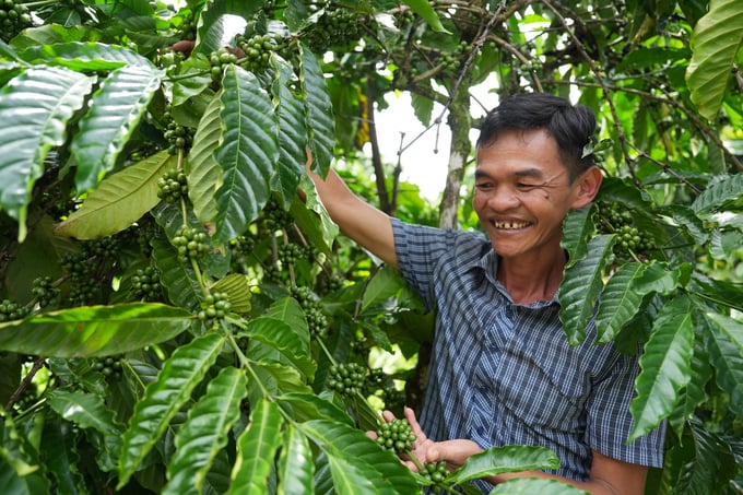 Anh Võ Duy Quang, Giám đốc HTX Du lịch Tà Đùng (trong ảnh) cho biết việc liên kết với các nhà vườn để làm du lịch bước đầu đã phát huy hiệu quả. Ảnh: Hồng Thủy.