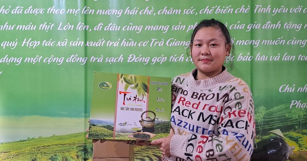 Growing tea creates eye-catching colored tea, the female director in Thai Nguyen successfully inherits the business