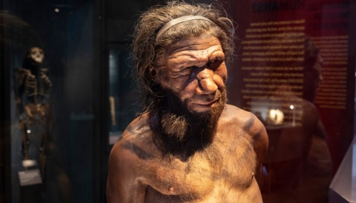 Sử dụng AI để đưa 'kháng sinh của người Neanderthal' trở lại