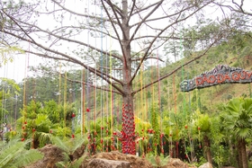 Unique Gem Island in Dalat