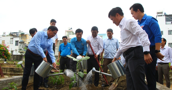 Die Bewegung "Zugstraße - Blumenstraße" verbindet "Die grüne Farbe eines Streifens Adlerholzland" in Khanh Hoa