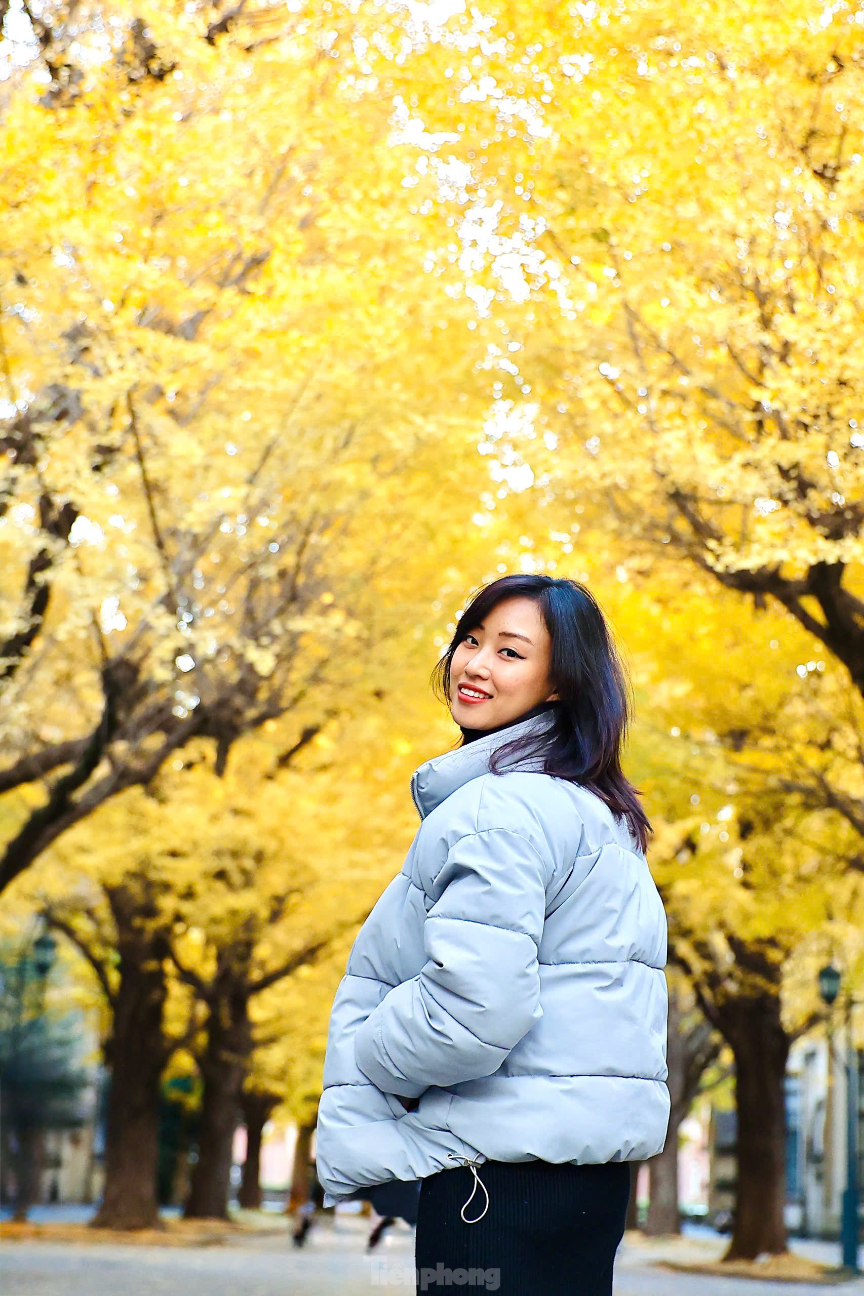 Fasziniert von der Herbstlandschaft mit roten und gelben Blättern in Japan, Foto 25