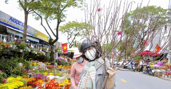 Ambiance printanière animée au marché aux fleurs de Da Nang