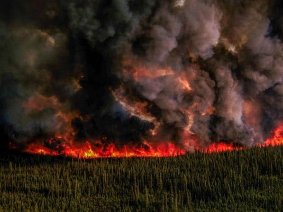 De la fumée frappe la côte est des États-Unis, photo 1