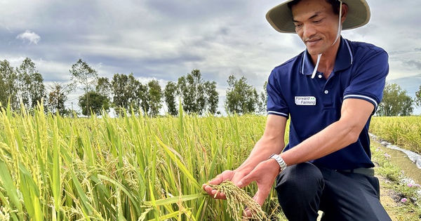 Farmers will receive great support from artificial intelligence