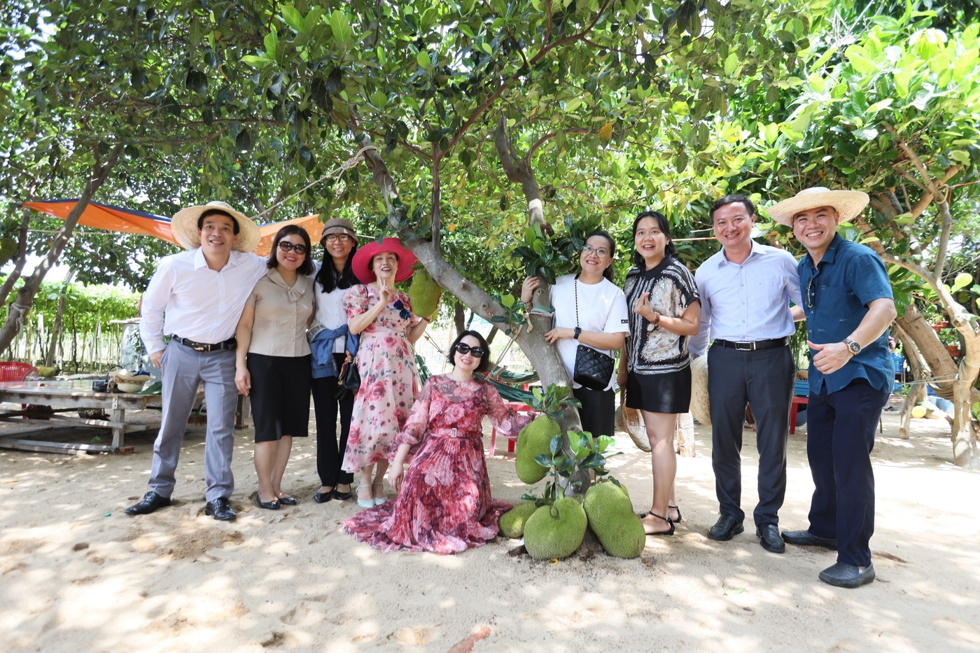 Beeindruckende Zahlen und wie man Tourismus in Ninh Thuan macht Foto 5