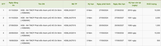 HDBank huy động 5.500 tỷ đồng trái phiếu trong tháng 9/2024- Ảnh 1.