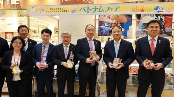 Opening of Vietnam Goods Week 2023 in Japan, increasing added value for agricultural products