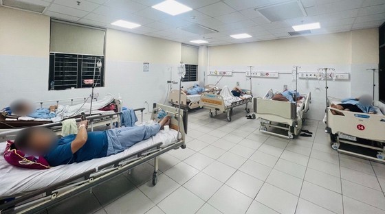 Six jeunes hommes empoisonnés après avoir mangé des œufs de crocodile-roquette (photo 1)