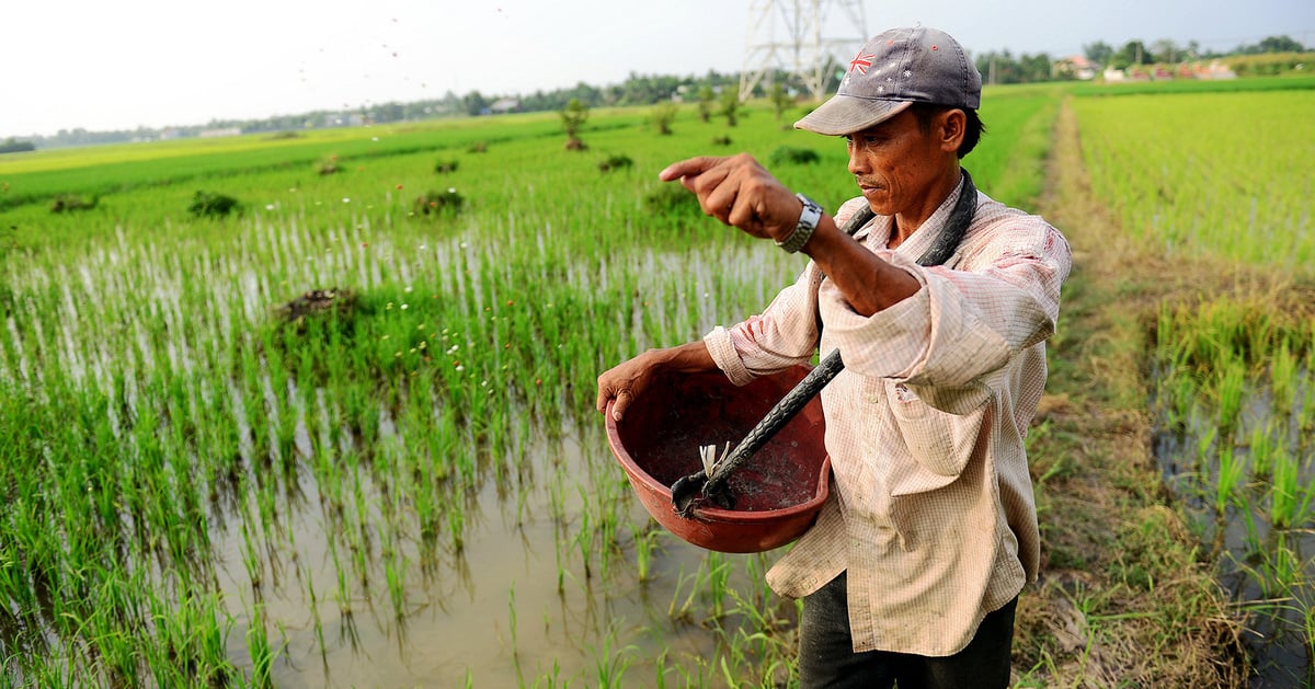 Đất nông nghiệp Việt Nam hết phì nhiêu, đến mức suy kiệt