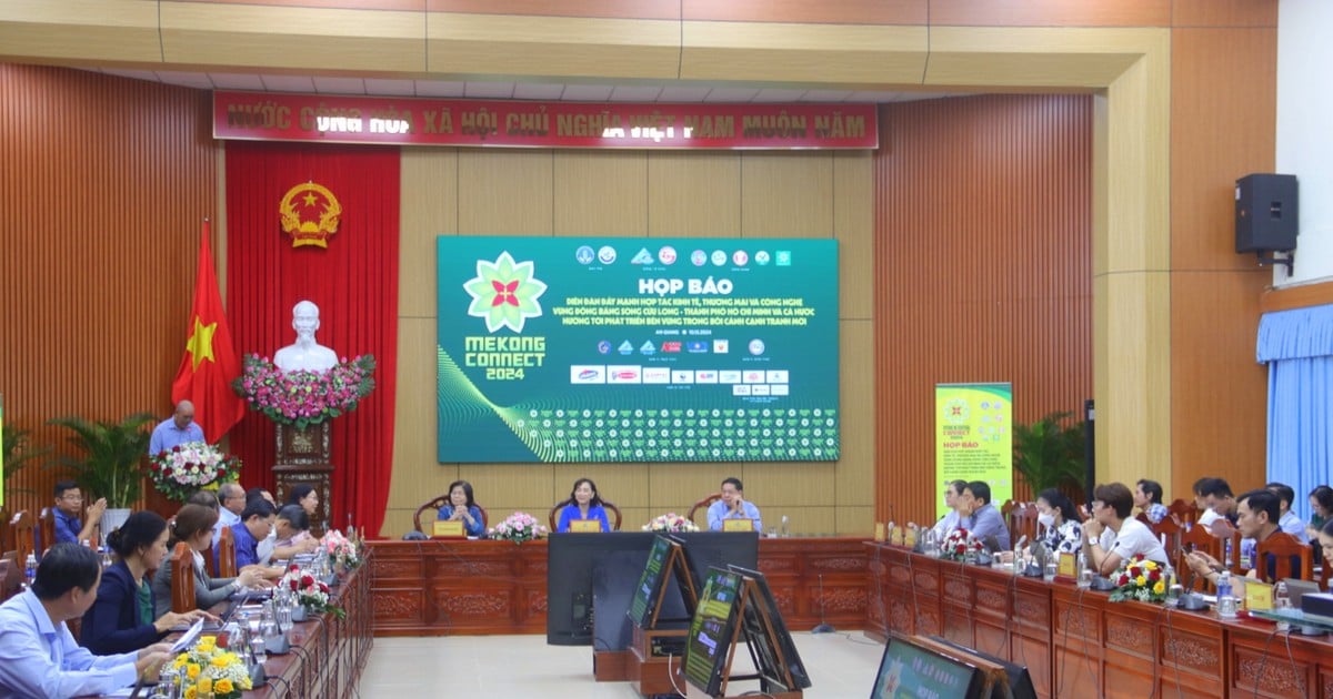 Mekong Connect Forum 2024 promotes Mekong Delta - Ho Chi Minh City cooperation