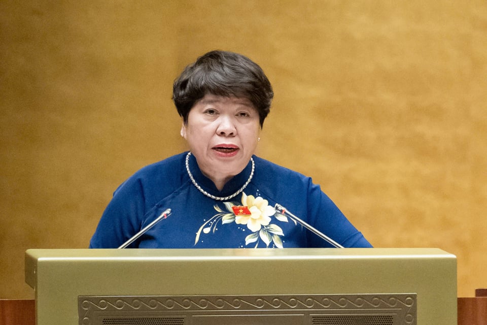 La presidenta del Comité Social, Nguyen Thuy Anh, informa en la reunión. Foto: Quochoi.vn