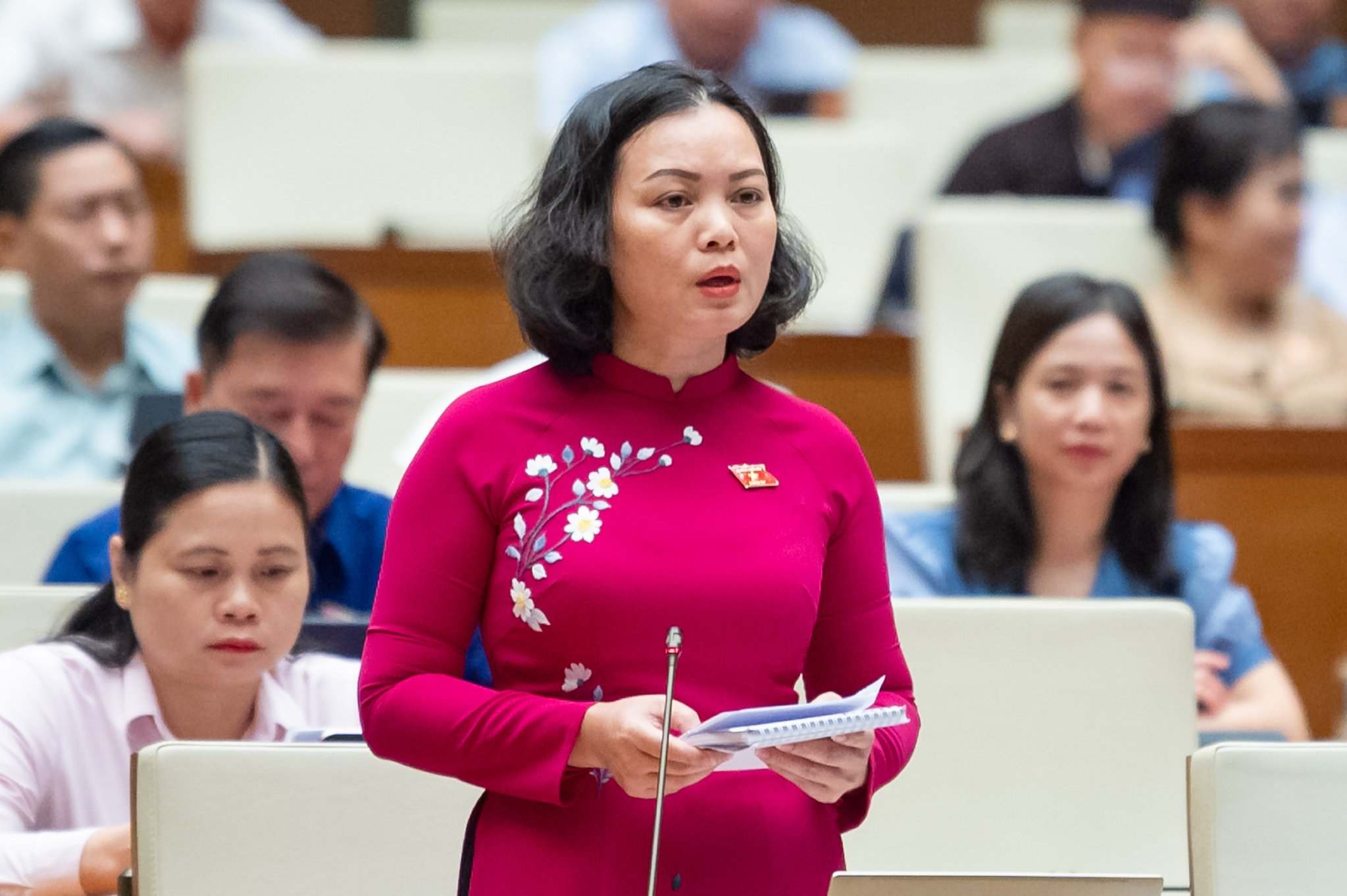 Delegada de la Asamblea Nacional, Huynh Thi Phuc