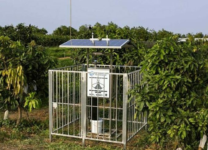 A smart insect monitoring station from Rynan. Photo provided by the company.