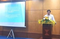 Herr Nguyen Viet Cuong, stellvertretender Direktor des Planungs- und Investitionsministeriums der Provinz Lao Cai, informierte auf der Konferenz.