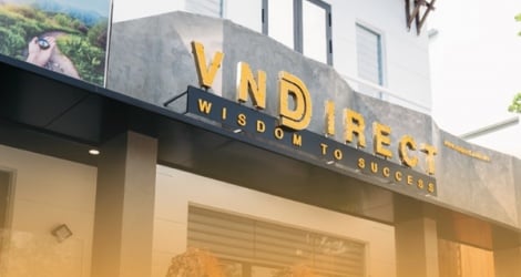 VND pierde participación de mercado