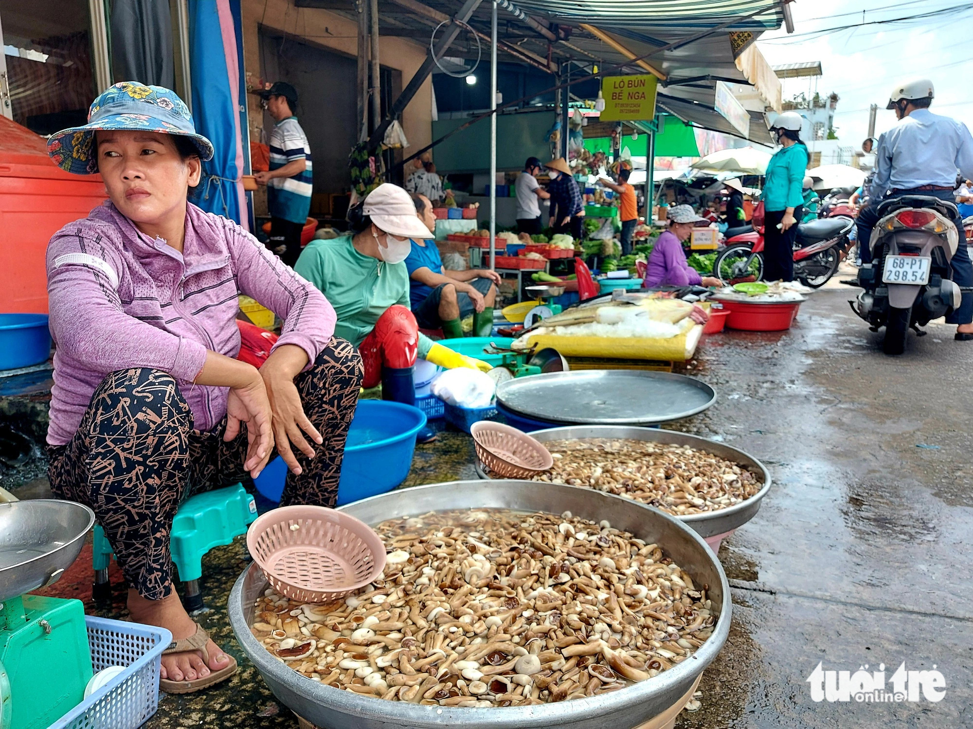 Dọc theo chợ Dương Đông (TP Phú Quốc), người dân bán nấm tràm rất nhiều - Ảnh: CHÍ CÔNG