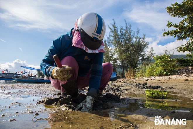 The women will assist their husbands by using trowels to dig near the shore to catch the fish.