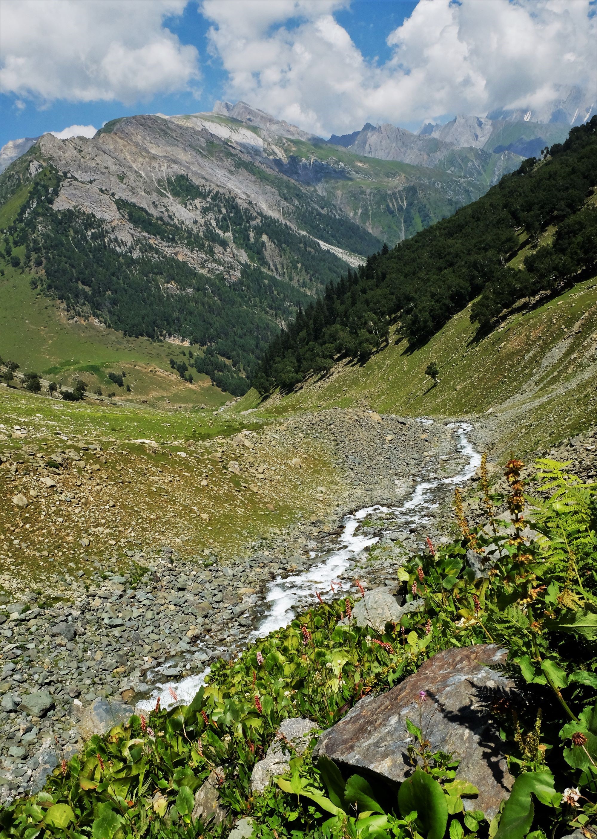 Nữ du khách Việt trong hành trình khám phá 'thiên đường hạ giới' Kashmir  - Ảnh 8.