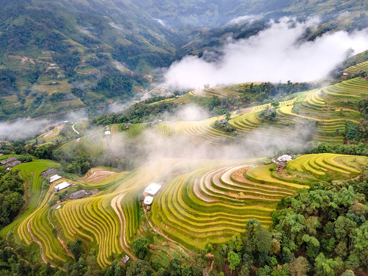 Ruộng bậc thang Hoàng Su Phì: ‘Bức tranh’ thổ cẩm đầy sắc màu giữa lưng chừng trời