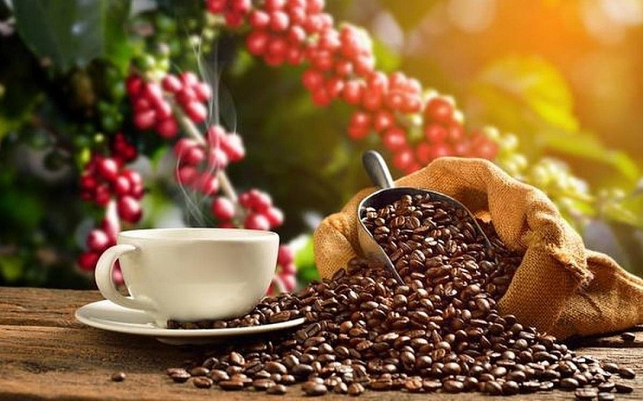 En menos de dos meses, las exportaciones de café han generado casi mil millones de dólares