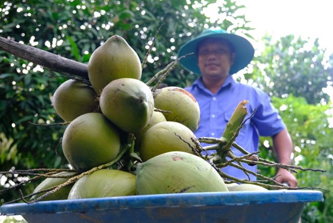 Aumento del valor de las exportaciones de productos agrícolas vietnamitas