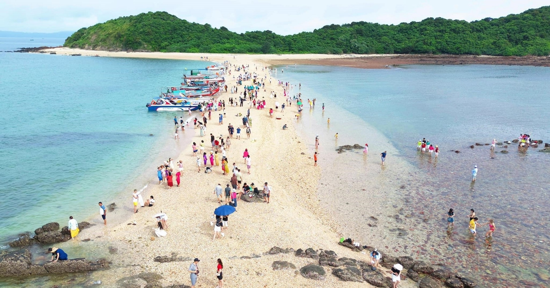 Des informations surprenantes sur le tour de Carp Island font sensation sur les réseaux sociaux