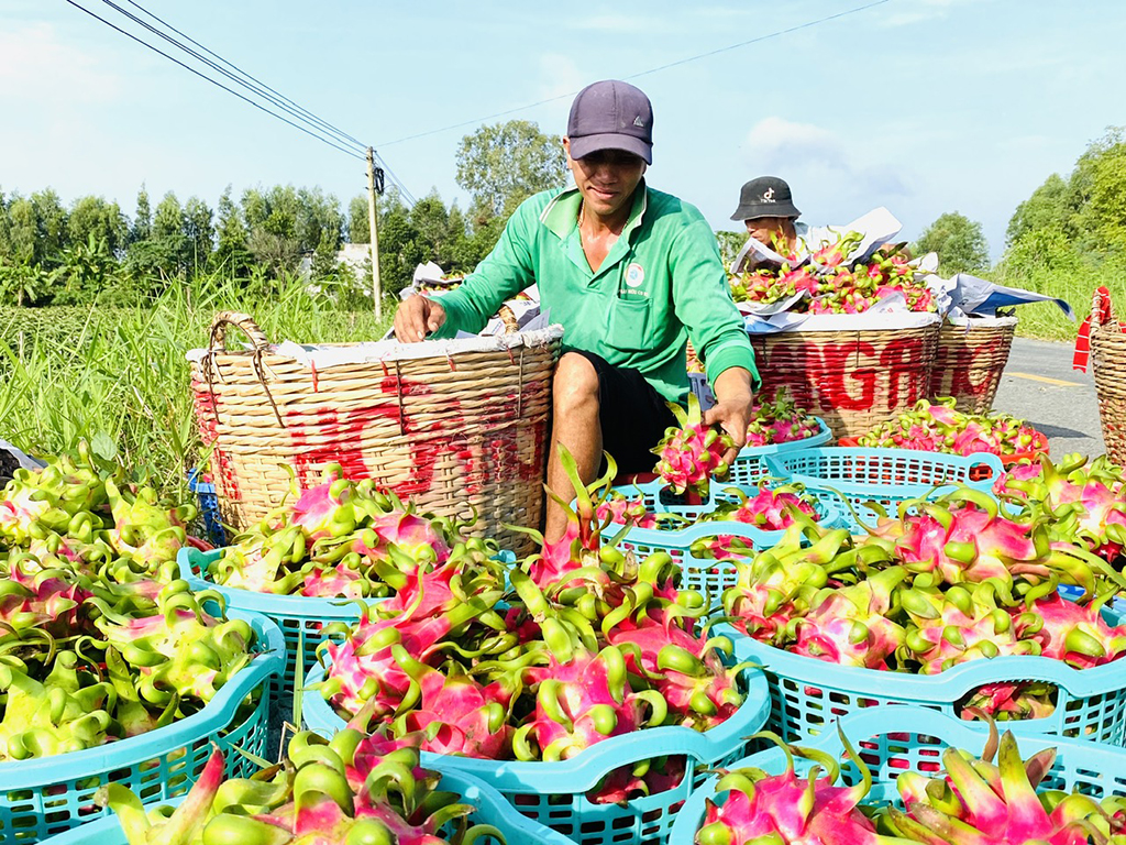 Lại phập phồng lo thị trường Trung Quốc? - Ảnh 1.