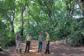 Forest protection in Tam Nong