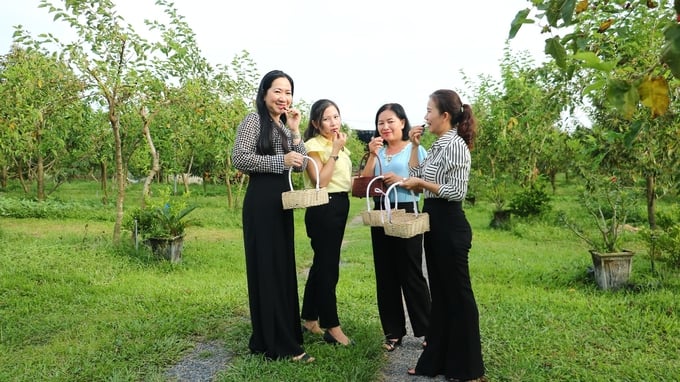 Du lịch nông nghiệp đang là hướng đi triển vọng tại Tây Ninh. Ảnh: Lê Bình.