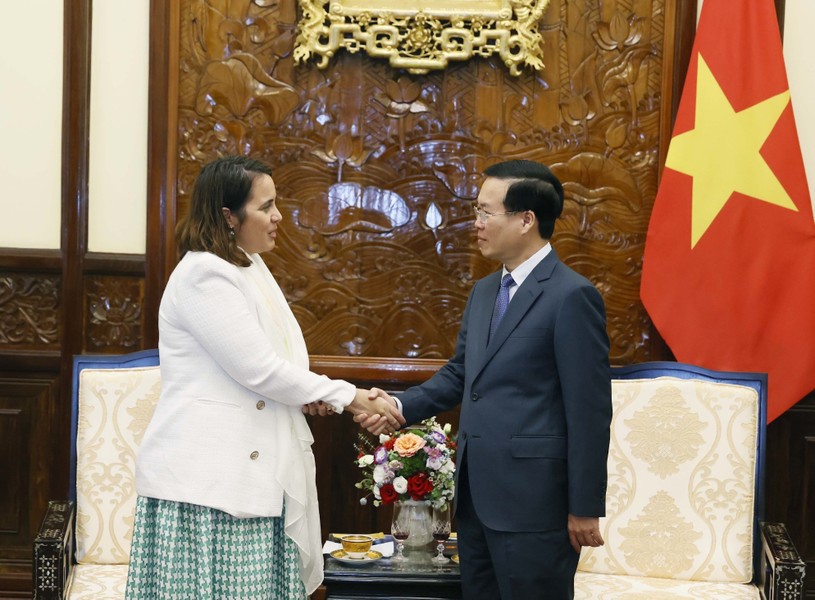 El presidente Vo Van Thuong recibe al embajador de Nueva Zelanda, Tredene Dobson. Foto: VNA
