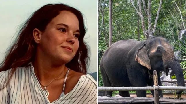 Tourist bathing elephant attacked to death in Thailand