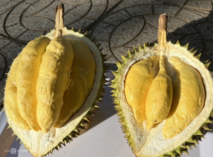 Durian in einem Garten in Can Tho. Foto: Manh Khuong