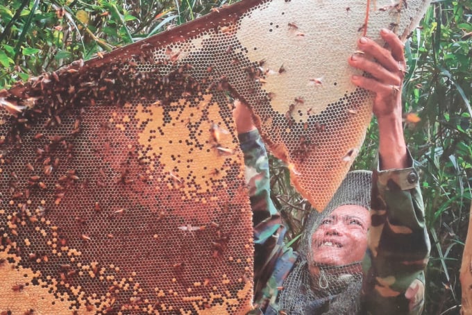 Honey harvesters at Muoi Ngọt Eco-tourism Area. Photo: Khanh Duy