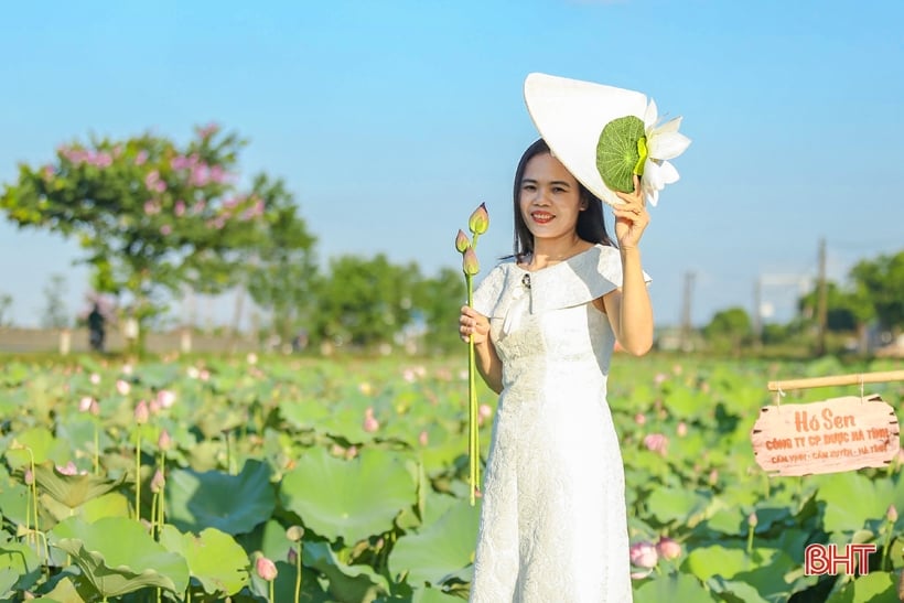 Admire the medicinal lotus pond of Ha Tinh Oriental Medicine Factory