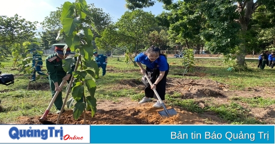 បែង​ចែក​ថវិកា​ជាង ៥០០​លាន​ដុង ដើម្បី​ដាំ​ដើម​ឈើ​ដែល​ខ្ចាត់ខ្ចាយ